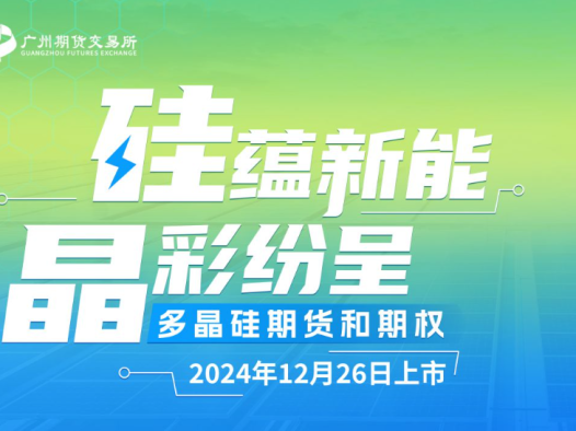 市场规模持续扩大 多晶硅重要性日益凸显|硅蕴新能 晶彩启航